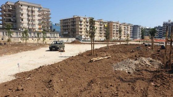 Bari, arrivano gli alberi nell'ex caserma Rossani: piantati i primi venti esemplari nel parco urbano