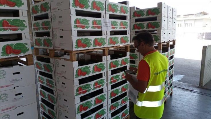 Logistica Solidale Parma: ogni settimana frutta e verdura fresca a quasi 10mila cittadini indigenti  