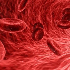"Emofilia: serve omogeneità nell’accesso alle terapie"