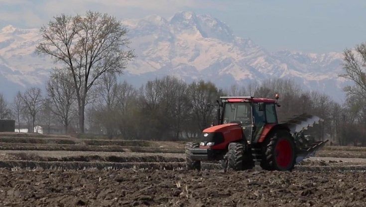  Torna il sole, addio siccità: in Piemonte danni contenuti, la pioggia ha rigenerato la terra  