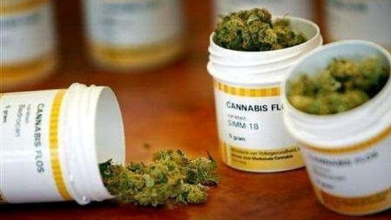 Emilia-Romagna: da settembre via libera ai farmaci a base di cannabis