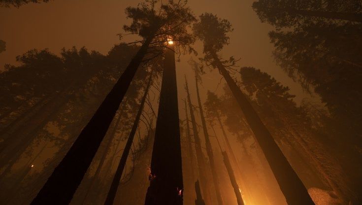 Prevenire un incendio è meglio che spegnerlo