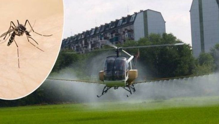 Moleste e insistenti le zanzare delle risaie invadono la città