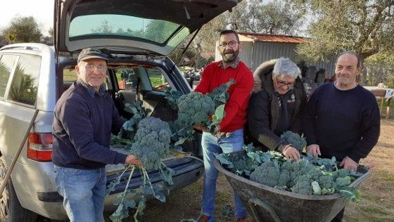 Bari, contro lo spreco di cibo arriva un portale web: "Tutti potranno donare i propri avanzi"
