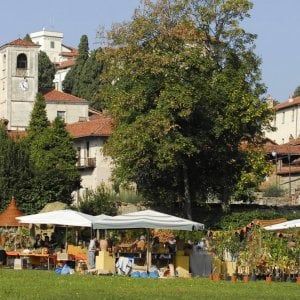 Ritorno al verde, da oggi a domenica la "Due giorni per l'autunno"
