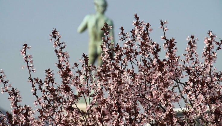 Giornata della Terra, chi pianta alberi, chi organizza incontri 