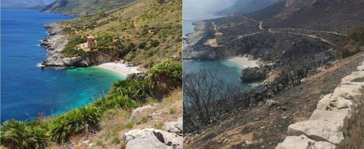 "Così abbiamo visto lo Zingaro bruciare"