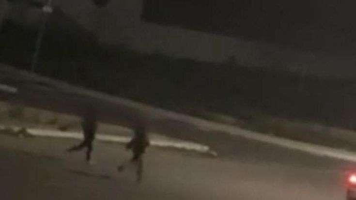Blitz a scuola a Noicattaro, denunciati due ragazzini. Il sindaco: “Nessuna indulgenza”