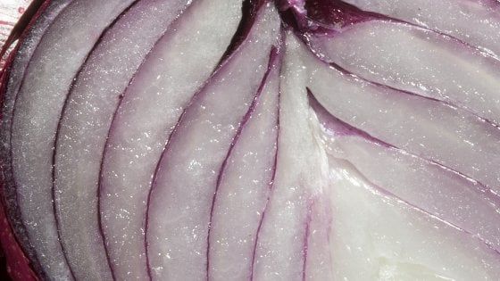 La cipolla di Cannara, dolce tesoro dell'Umbria