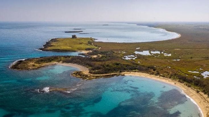 Torre Guaceto è l’area marina protetta meglio gestita d’Italia: l’oasi premiata dal ministero