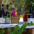 La Calabria del vino che non ti aspetti
