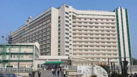 Bimba morta di meningite a Bologna, la pediatra va a processo 