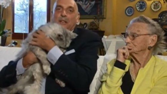 Il gatto di Paolo Brosio sanguina, paura in diretta tv