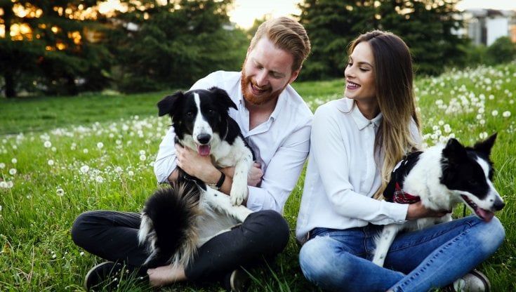 MeetMyPet, via al crowdfunding del primo social network dedicato agli animali domestici