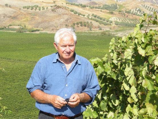 Librandi recupera i vini antichi<br />importati in Calabria dai greci
