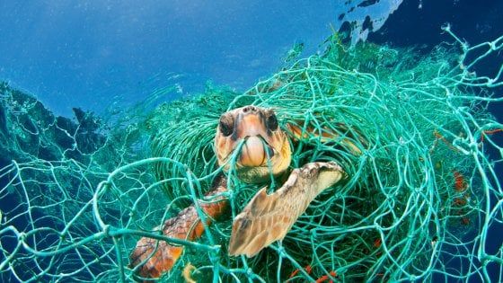 Plastica, 100 milioni di tonnellate all'anno disperse in natura