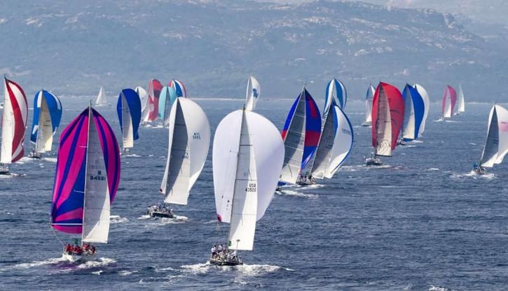 Una perfetta giornata da Swan