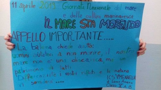 Balene di plastica, musica e flash mob: Ischia celebra la Giornata del Mare
