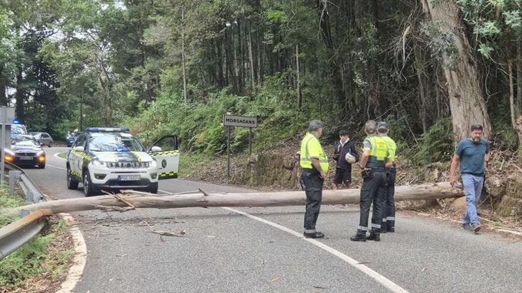 Vuelta, manifestanti pro-Pal abbattono un albero sul percorso in Galizia: tappa neutralizzata