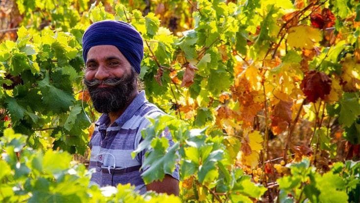 Nel più grande vigneto della Liguria il ristorante e il wine bar guidati dallo chef indiano