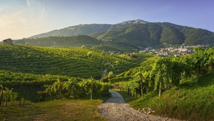 Prosecco, per Mionetto volumi in crescita del 22% nel 2021. E il fatturato supera i 100 milioni