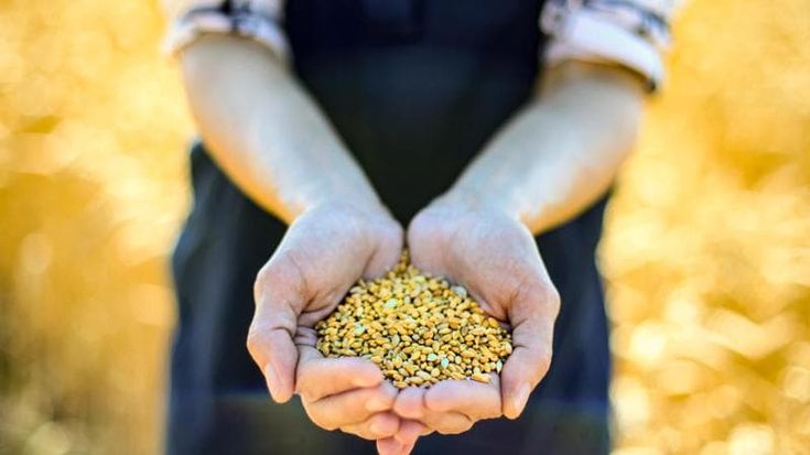 Agrifood, cresce la fiducia nell’Open Innovation: 8 aziende su 10 pronte ad affidarsi a partner esterni