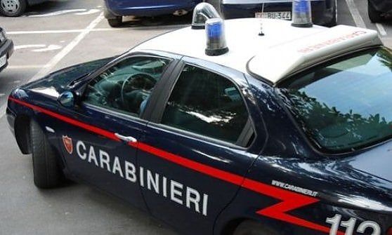 Paura a Marano, cane morde alla testa una bambina