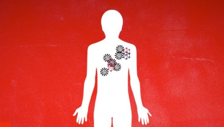 Coronavirus, come si formano le varianti