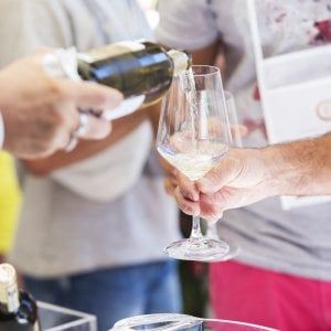 Gavi Docg brinda ai 20 anni e alla vendemmia 2018