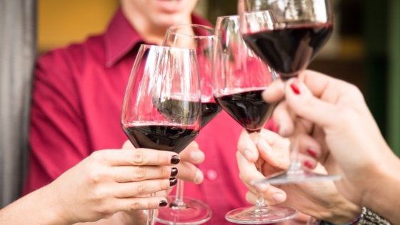 I grandi vini d'italia: il Teroldego Rotaliano