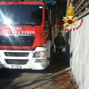 Viareggio, attraversa sulle strisce e viene travolta: ucciso il suo cane