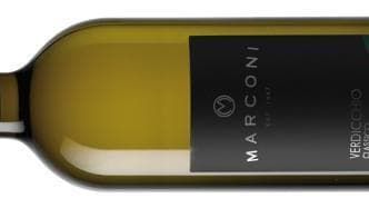 Una lacrima di Verdicchio sui colli di Ostra