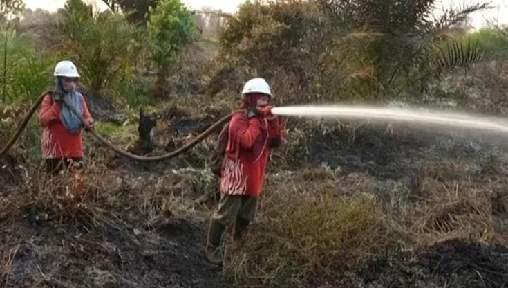 Indonesia, spegnere gli incendi e salvare l'ambiente: la missione delle eroine di The power of Mama