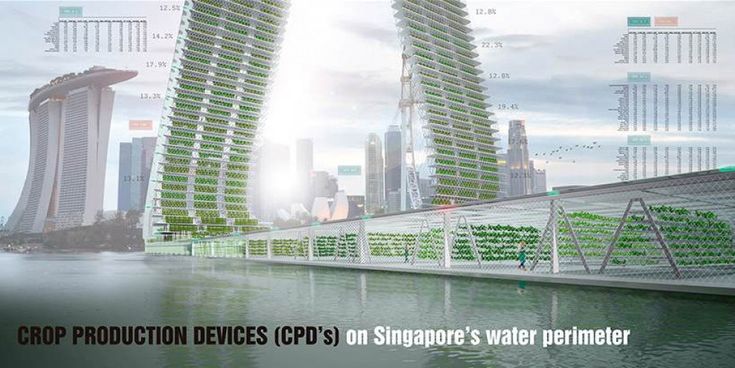 Singapore, non c'&egrave; spazio per l'orto: la coltivazione &egrave; verticale