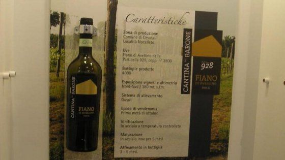 I signori del vino: Quel Fiano imbronciato che conquista grandi tavole 