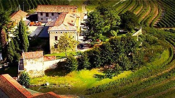 Da bere: tutto il gusto del Nord Est