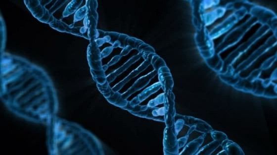 Decifrato il genoma dei tumori neuroendocrini del pancreas: individuati altri tre geni coinvolti