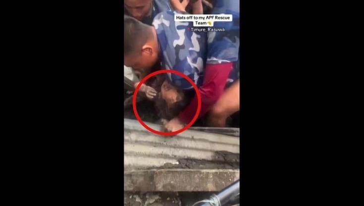 Nepal, bimba di 5 anni estratta viva dopo tre giorni sotto le macerie: l'emozione del salvataggio