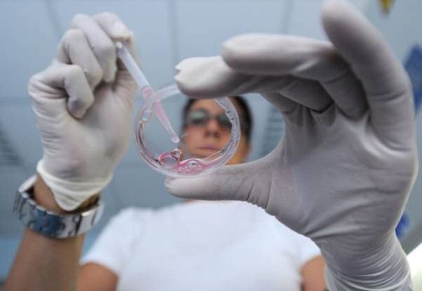 Tumori, creata 'super proteina' che blocca le metastasi. Sperimentata sui topi