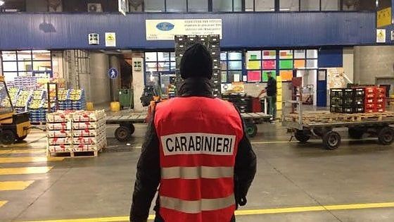 Lavoro nero, blitz al centro agroalimentare: nel mirino cinquanta grossisti 