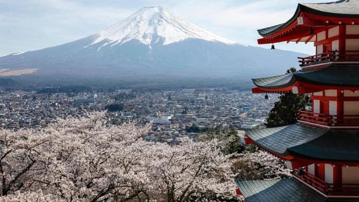 Fioritura dei ciliegi vista Fuji virale sui social: Giappone annulla festival hanami per overtourism
