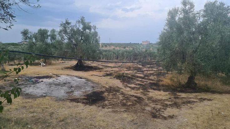 Trani, incendio in campagna: muore proprietario di 73 anni. Si indaga sull’origine delle fiamme