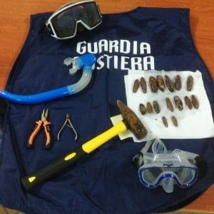 Scacco alla pesca di frodo, sequestro di datteri di mare a Meta