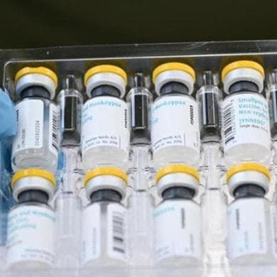 Vaiolo delle scimmie, allerta in Pakistan: “Primo caso di Mpox”