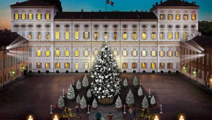 Torna l’abete in città e piazza Castello si trasformerà in un bosco fatato. Tutti gli appuntamenti dall'8 dicembre