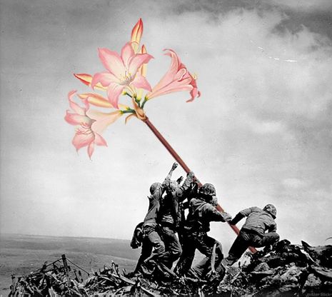 Mettete dei fiori nei vostri cannoni: il fotoprogetto pacifista
