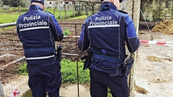 San Tammaro, sfruttamento e caporalato: denunciato imprenditore agricolo