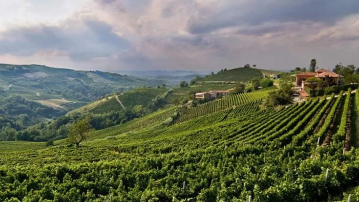 OltrepòShire, la scommessa sul Pinot Nero