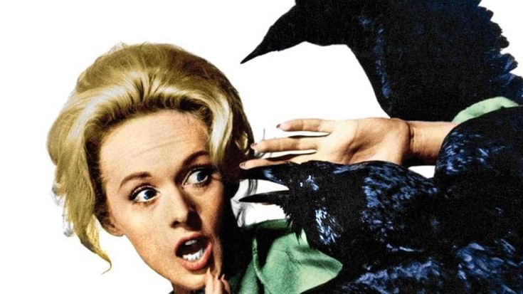 Libri da leggere, “Gli uccelli” che volarono per primi