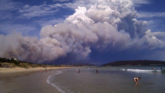 Incendi, alluvioni. Tasmania, un eden improvvisamente fragile
